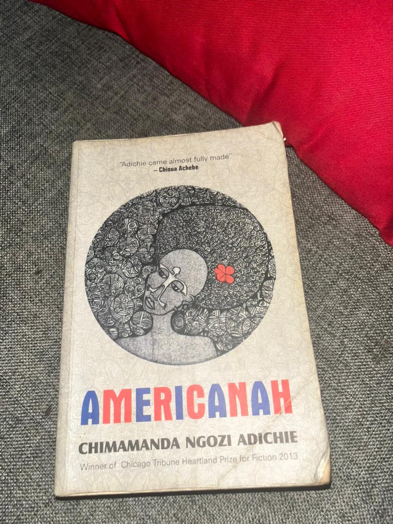 americanah-african-book