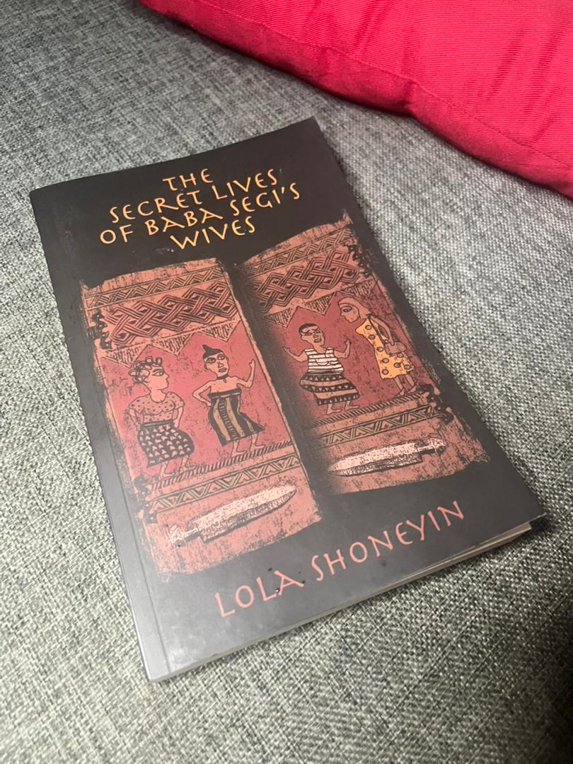 baba-segi-african-book