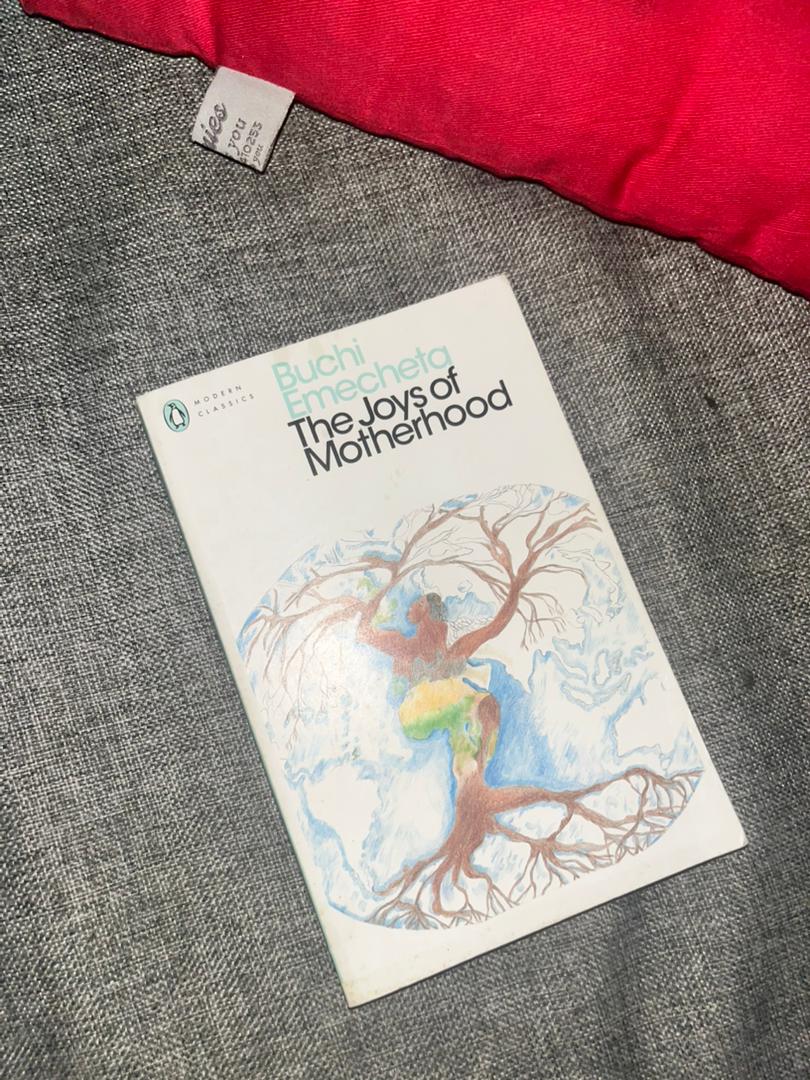 joys-of-motherhood-african-book