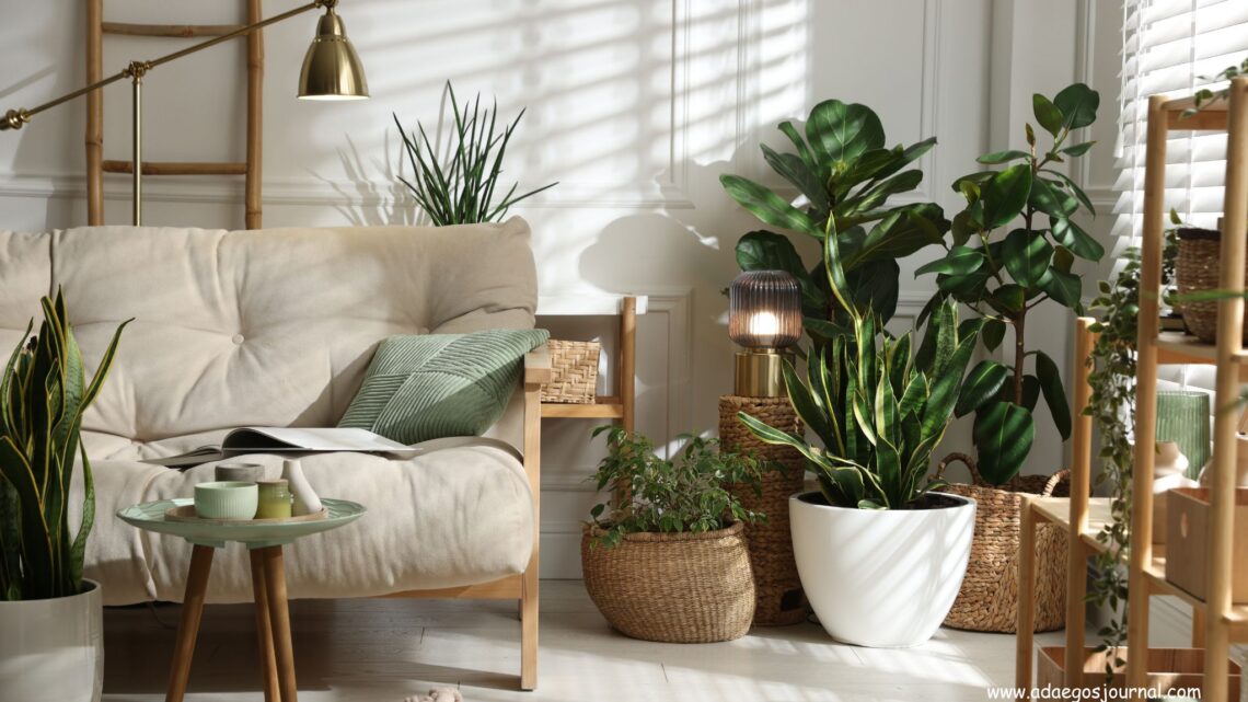 Sunday-Reset-Routine