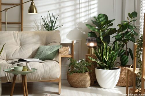 Sunday-Reset-Routine