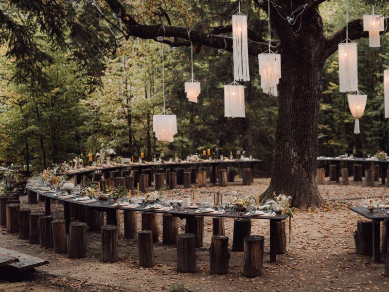 Natural-Park-Wedding-Backdrops