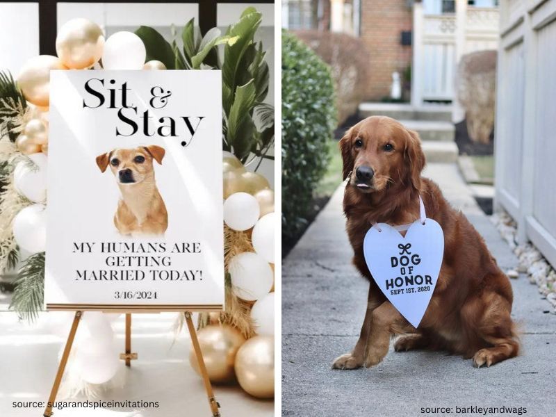 Cute pet-inspired wedding sign featuring dog-themed wedding decor