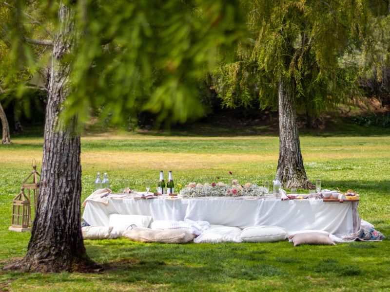 Picnic-Wedding-Inspiration