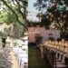 backyard wedding ideas on a budget