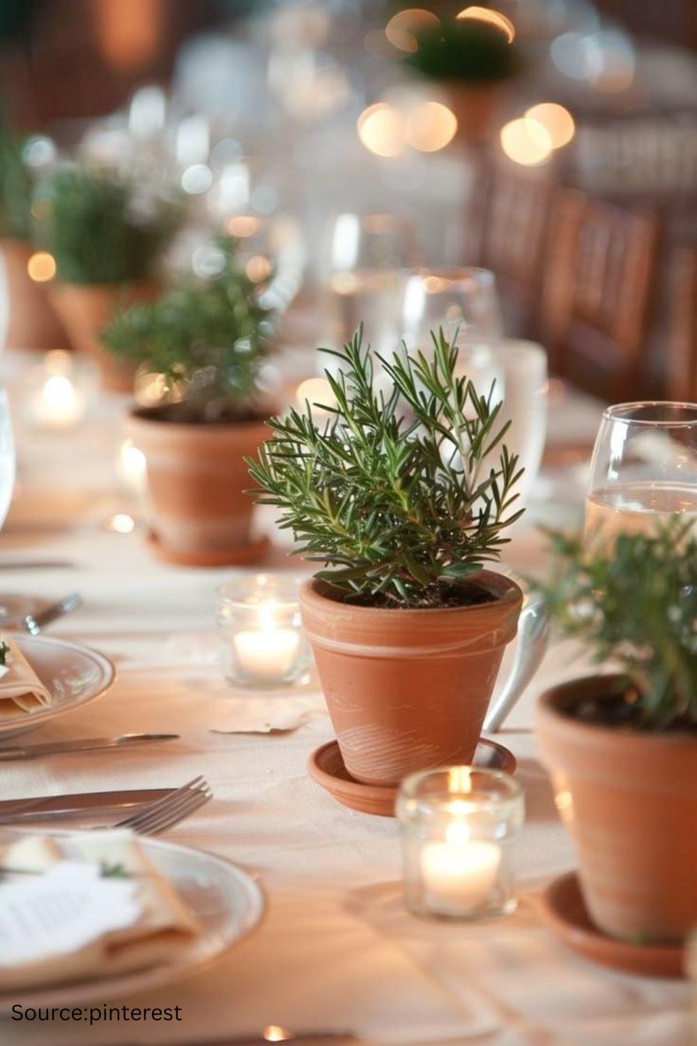 Potted plant wedding centerpiece that doubles as a guest favor for an eco-friendly celebration.